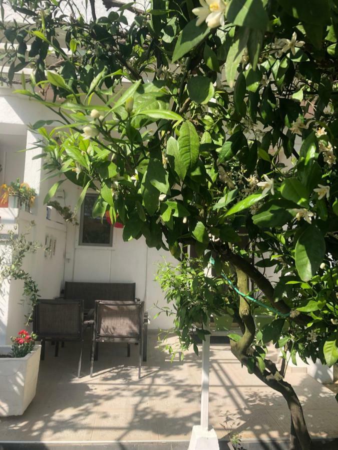 Apartments Mia Patria أولتْسي المظهر الخارجي الصورة