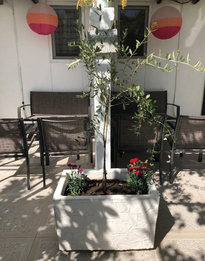 Apartments Mia Patria أولتْسي المظهر الخارجي الصورة